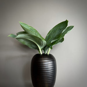 
                  
                    Organic vase
                  
                